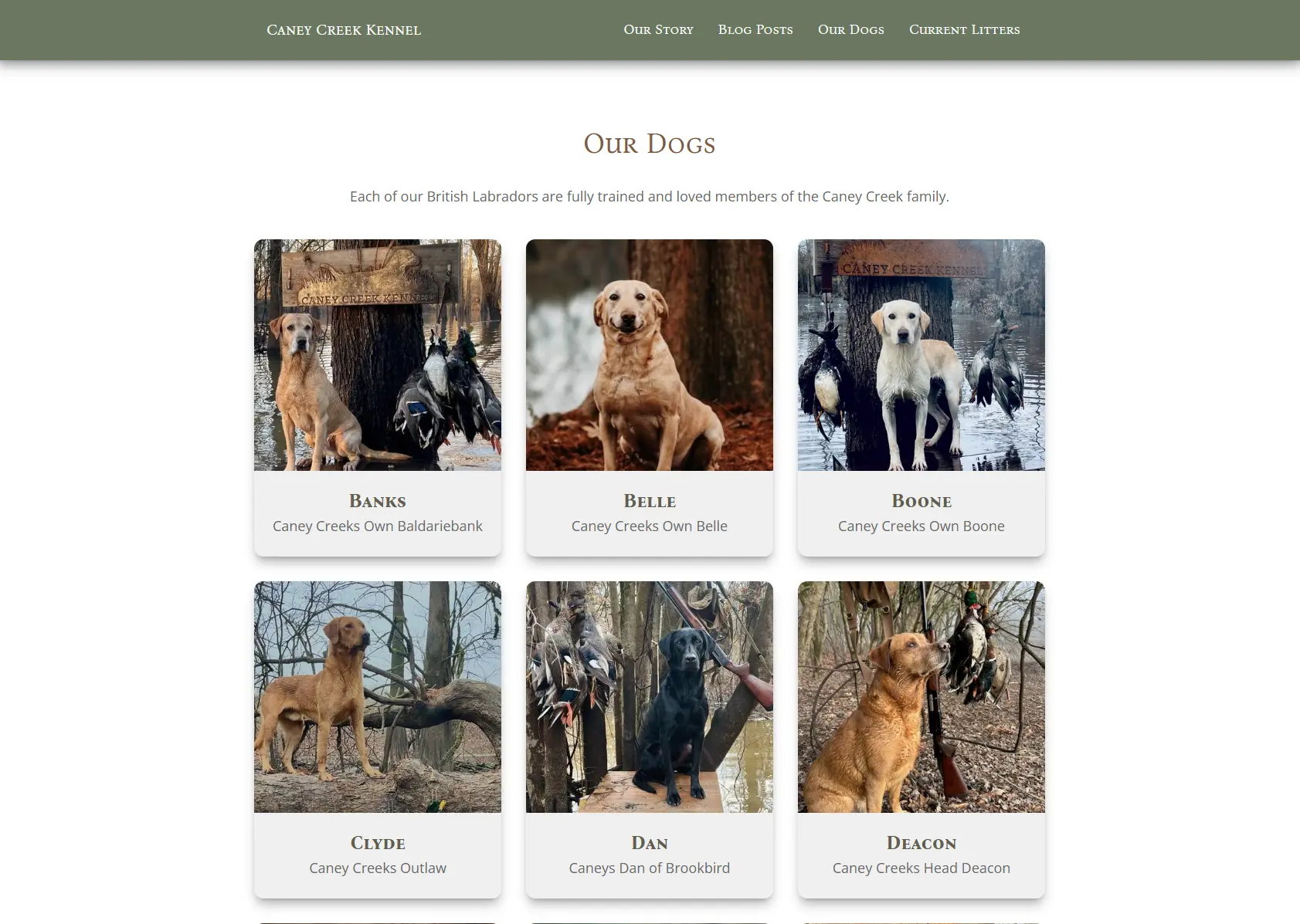 Caney Creek Kennel detail image 1