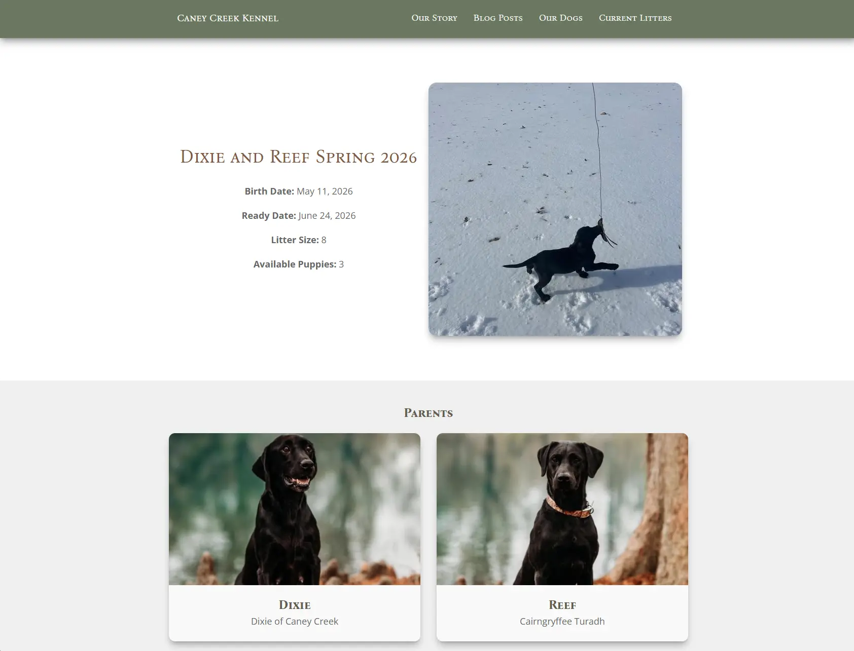 Caney Creek Kennel detail image 2